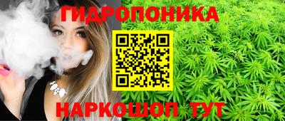 спиды Ливны